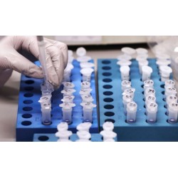 Campo Largo registra mais três óbitos por Covid-19